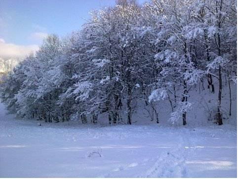 Гостевой дом Усадьба Кутлер Соколиное-6